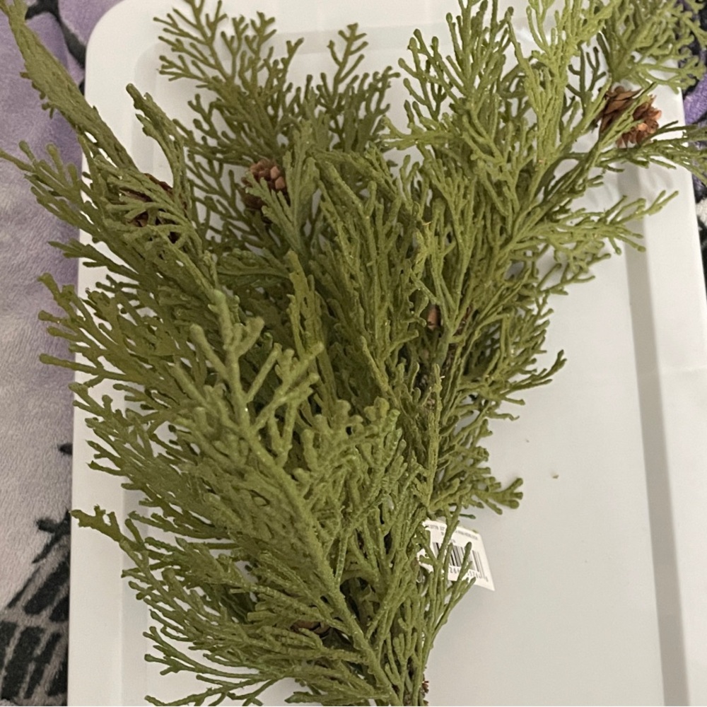 **FINAL PRICE** 22” Faux North Rim Hemlock Bush + Pinecones